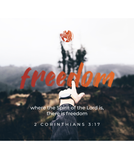 Freedom - Revival