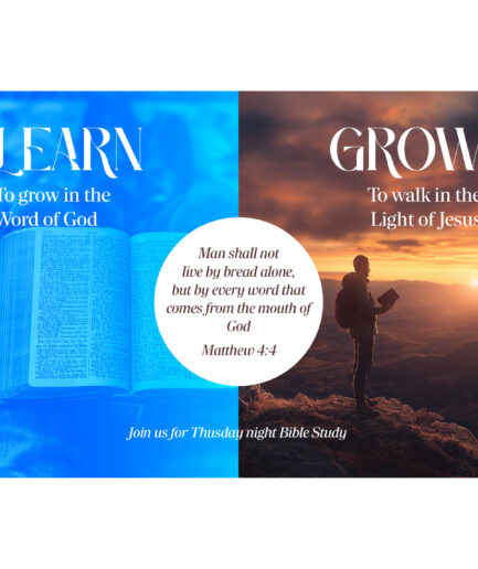 Learn Grow
